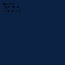 #0B2244 - Blue Whale Color Image